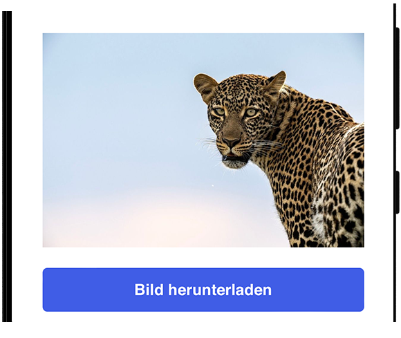 Insta Story Viewer und Downloader