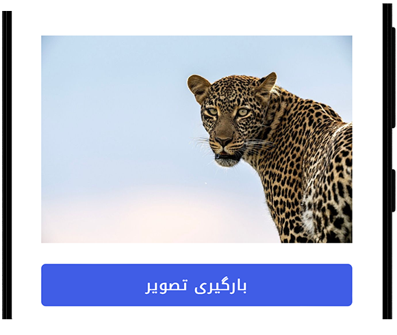 نمایشگر پست اینستاگرام بدون حساب