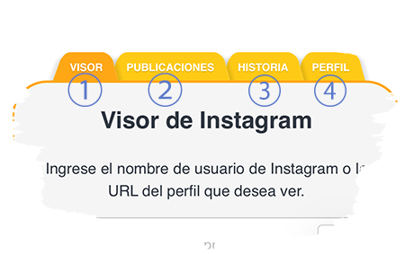 Visor de Instagram gratuito