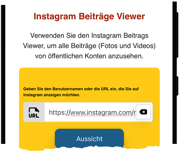 Instagram Beiträge Viewer