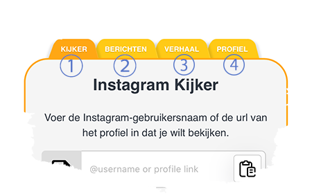 Anonieme Instagram Kijker