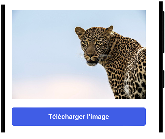 telecharger instagram image