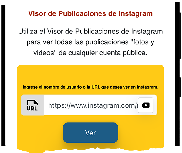 Visor de publicaciones de Instagram