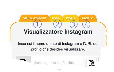 Visualizzatore Instagram gratuito