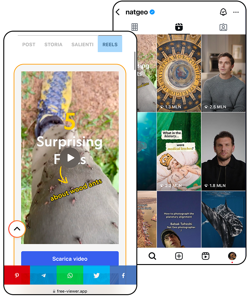 Visualizzatore reels instagram