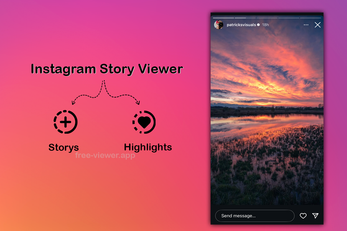 Insta Story Viewer