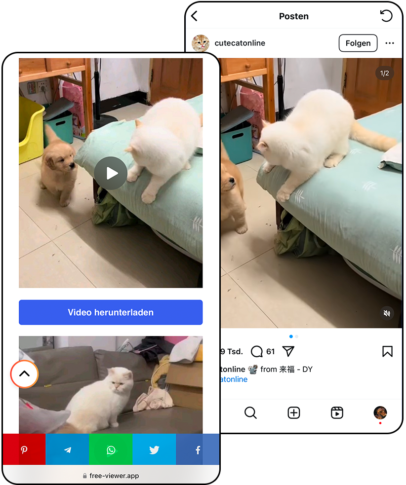 Instagram Beiträge Viewer