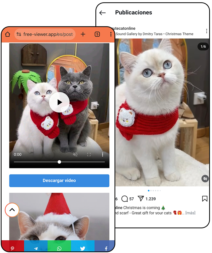Ver vídeos en Instagram sin tener una cuenta