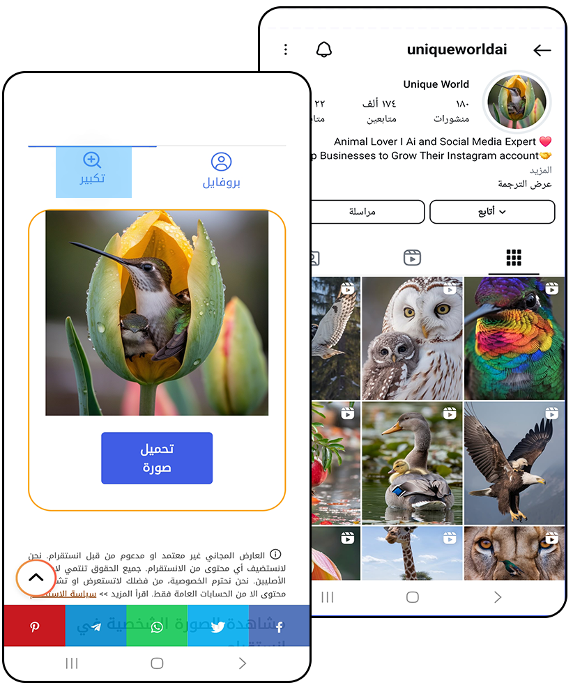 تكبير بروفايل انستا