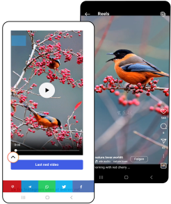 Instagram Reels-viewer