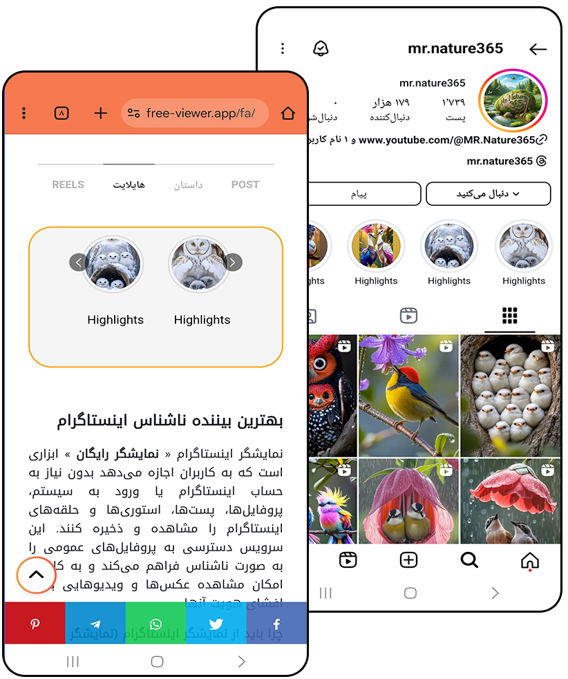 مشاهده نکات برجسته