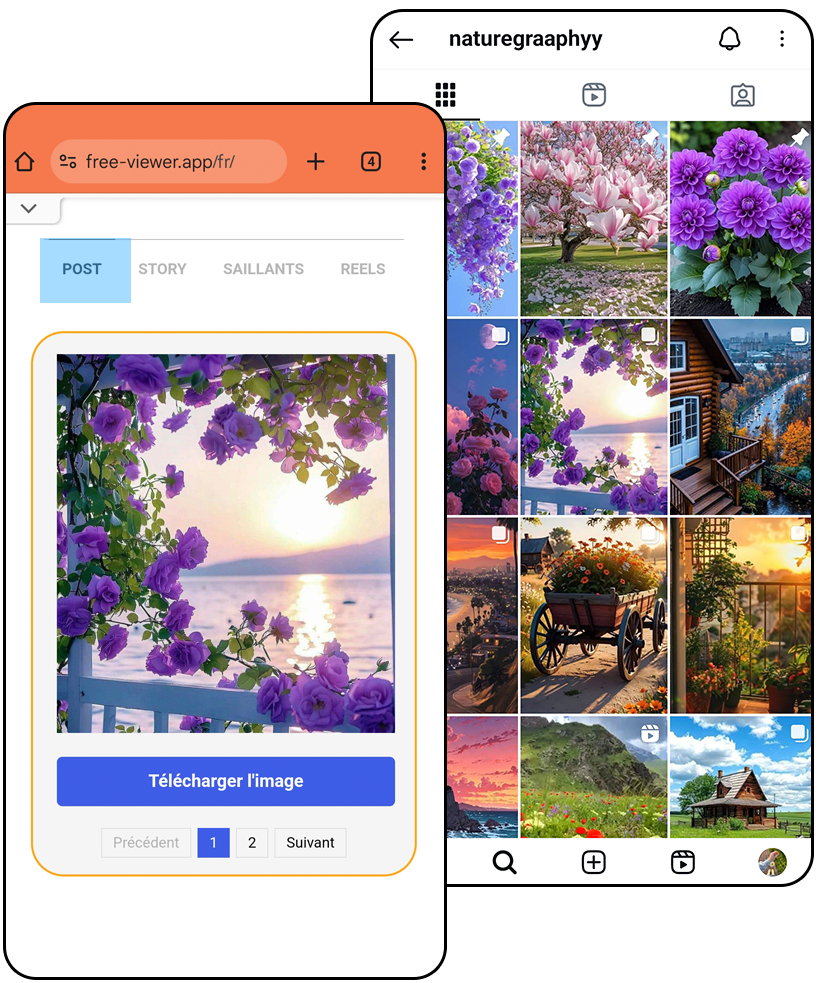 Voir publication Instagram sans compte