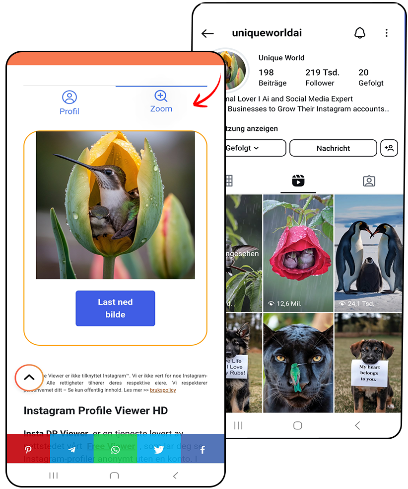 insta-profielfoto inzoomen